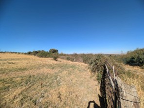 Vistas